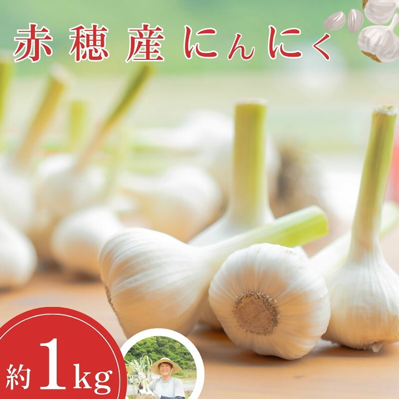 【ふるさと納税】赤穂産 栽培期間中無農薬 にんにく（300g）　ニンニク 兵庫県 赤穂市　お届け：2026年5月上旬～2026年10月下旬