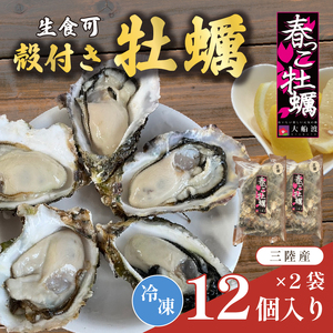殻付き 春っこ 牡蠣 2袋 ( 12個入×2 ) 生食用 冷凍 数量限定 カキ かき 殻付き牡蠣