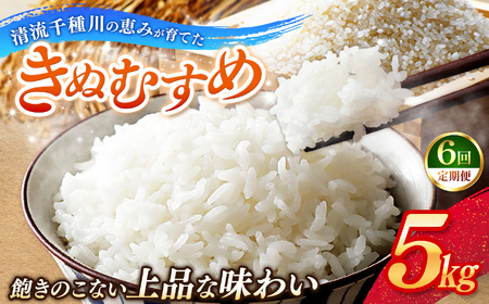 【定期便6回】令和7年産 上郡町からのお米 きぬむすめ5kg×6回 | お米 きぬむすめ 美味しい 国産 兵庫県 上郡町