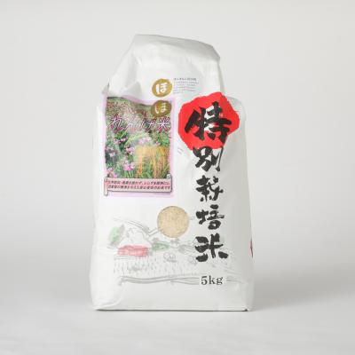 ふるさと納税 臼杵市 【令和7年度産】こだわり農法の「れんげ米」精米(5kg) |  | 01