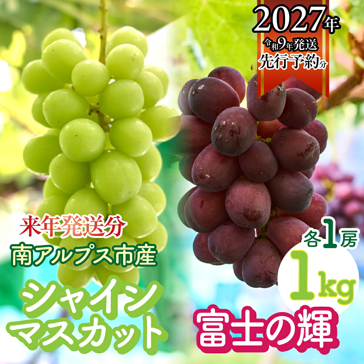 【ふるさと納税】＜2027年発送先行予約＞シャインマスカットと富士の輝　各1房 1kg ALPFK003
