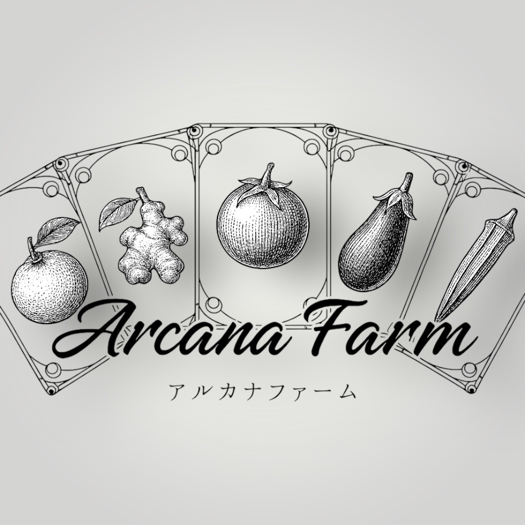 【6回定期便】こだわりの新鮮野菜セット 8~11品目 | 野菜セット 新鮮 野菜 人気 季節の野菜 おすすめ 高知県 南国市