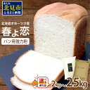 【ふるさと納税】【北海道オホーツク産】パン用強力粉 春よ恋 2kg 4kg 25kg 定期便(4kg×3回)　※賞味期限30日保証 ( パン用強力粉 北海道産 小麦粉 パン 製パン )