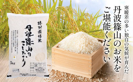 【定期便】※令和7年 新米予約※特Aランク特別栽培米　コシヒカリ　5kg（全12回） | 兵庫県 丹波篠山市 