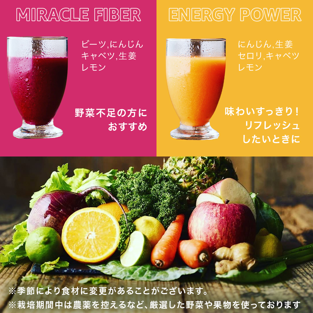 【1日ファスティングに最適】1day fasting コールドプレスジュ
