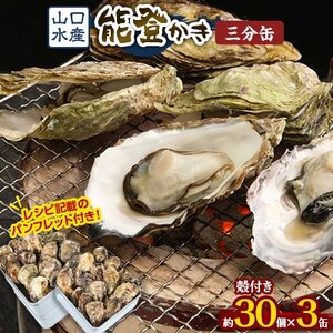 山口水産の能登かき/三分缶(約30個入り)×3【配送不可地域：離島・北海道・沖縄県・東北・四国・九州】【1230274】