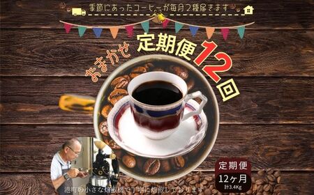 コーヒー 定期便 12回 計約3.4㎏ 粉  自家焙煎 定期便12ヶ月 千葉県 銚子市 ティピカ