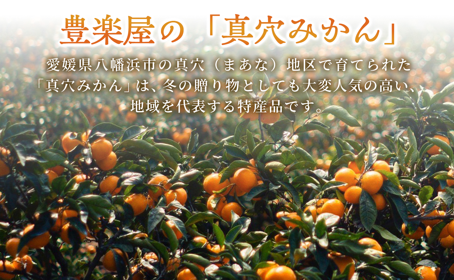 【砂糖・保存料・甘味料すべて不使用】愛媛みかんジュース「天凪」　720ml　4本【E98-2】【1711050】 YWTBU002