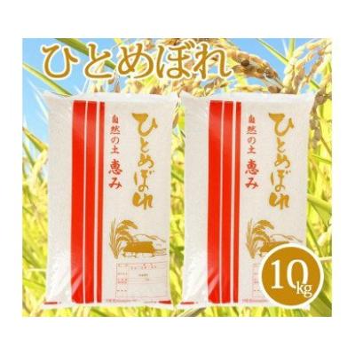 ふるさと納税 酒田市 【令和7年産米】【山形県庄内産】ひとめぼれ5kg×2袋計10kg