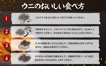 北海道室蘭産 塩水キタムラサキウニ （100g×2パック）【翌年（2026）/7～9月中順次発送】 MROBQ002 | ウニ