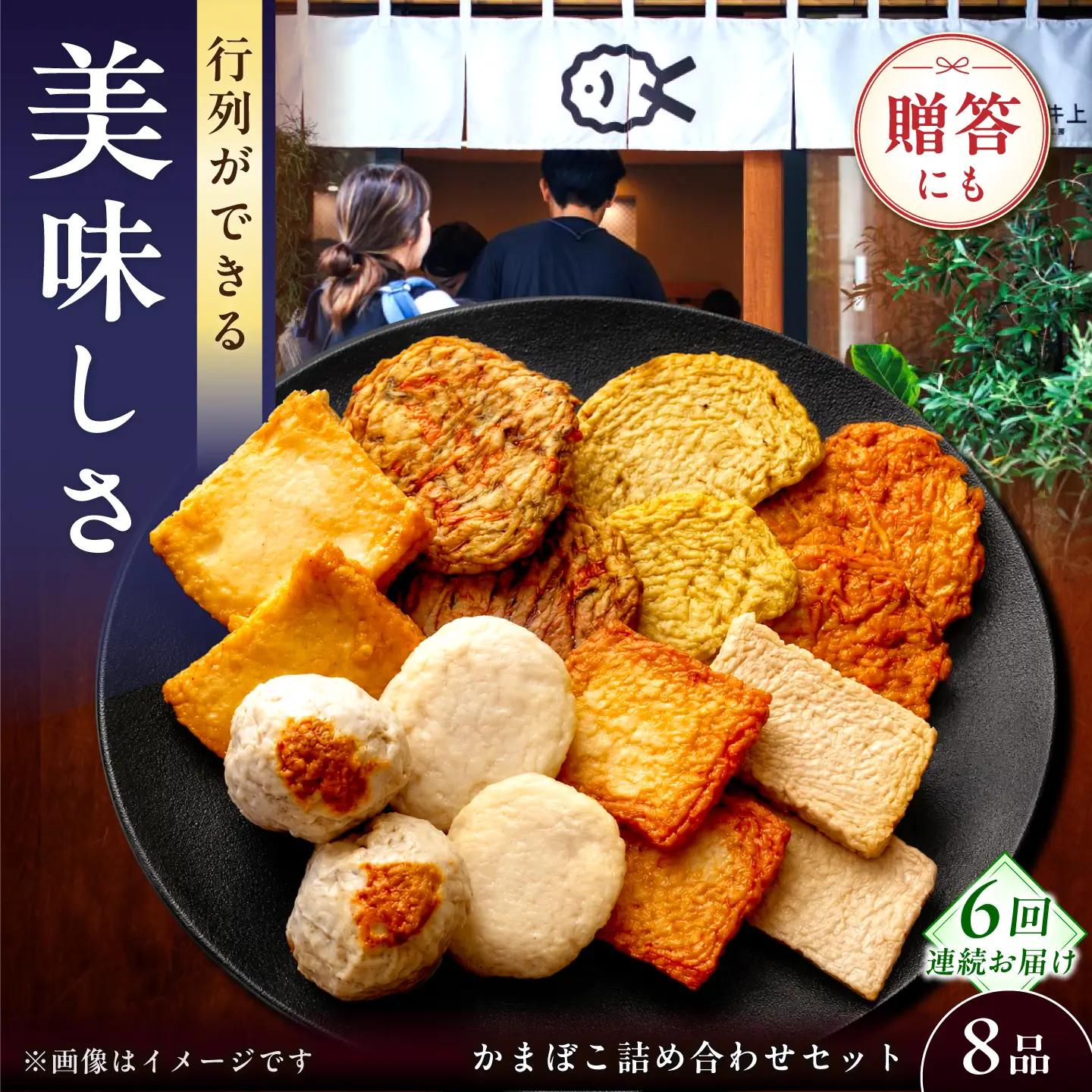 【毎月8品×6回定期便】かまぼこ詰合せ8品 計48品 長崎井上蒲鉾 [EAG025]  蒲鉾 かまぼこ カマボコ 練り物 おでん 魚 食べ比べ セット 詰め合わせ 長崎 ながさき 贈答 ギフト 定期便