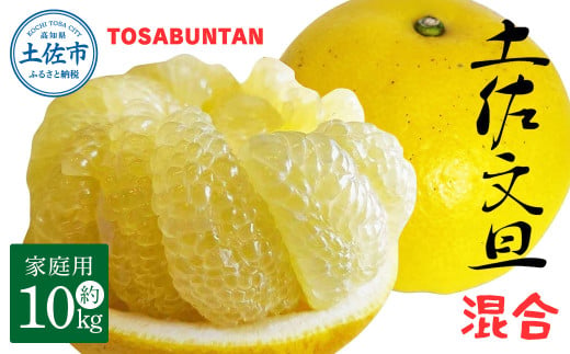 ＜2026年3月より順次発送＞土佐文旦 家庭用 10kg 17～24玉入り L～3Lサイズ混合