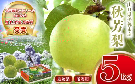 美祢市産 秋芳梨 ( 進物梨 ) 5kg 先行予約 〈2025年8月下旬より順次発送予定〉｜ 二十世紀 なし 梨 フルーツ 特産品 美祢市 山口県 美祢 秋芳町 秋芳 秋芳梨 進物 進物梨 贈答 果物 くだもの 果実 カルスト台地 先行予約 期間限定 5kg