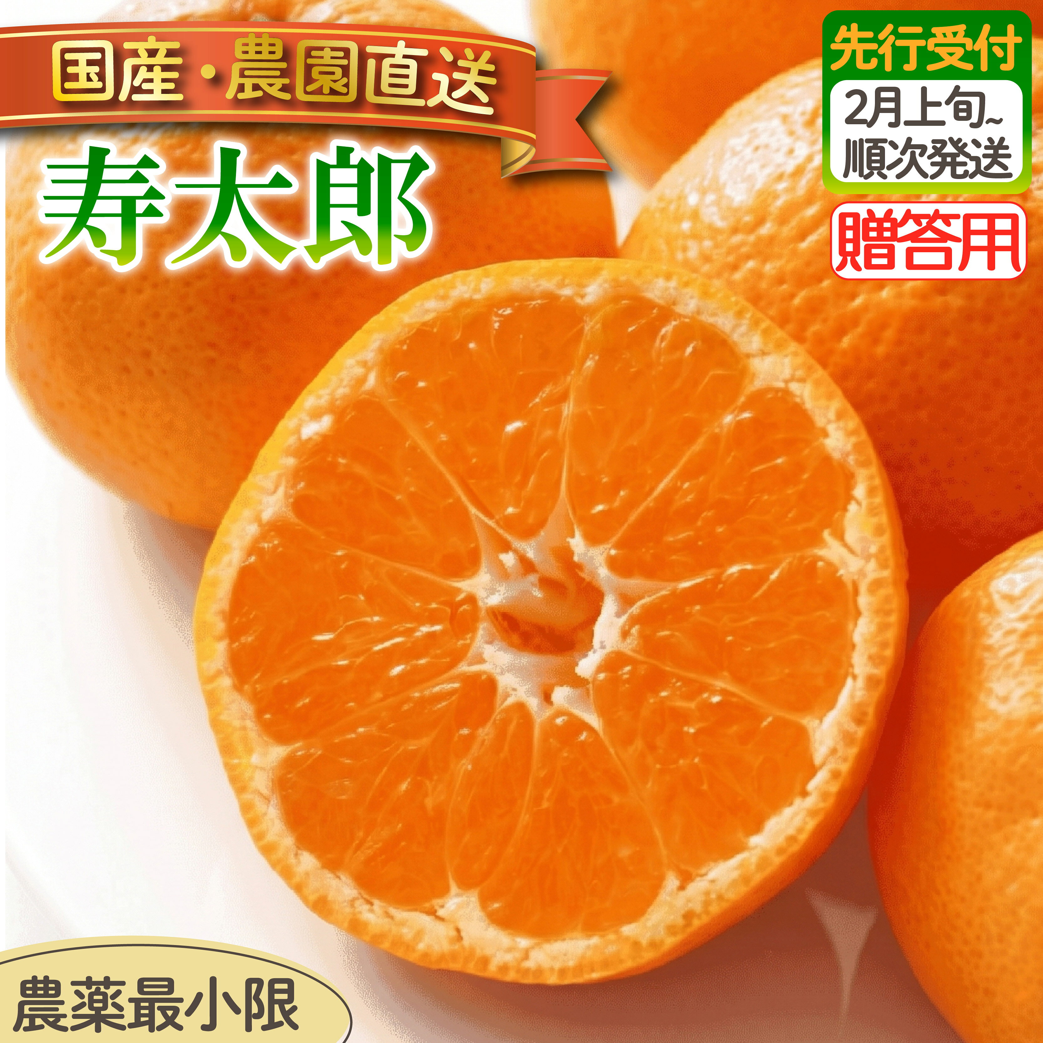 【ふるさと納税】 贈答用 寿太郎 みかん 3kg 5kg 選べる容量 | 木負観光みかん園 ミカン オレンジ 蜜柑 柑橘 フルーツ 旬 果物 国産 産地直送 季節限定 西浦 沼津市 静岡県