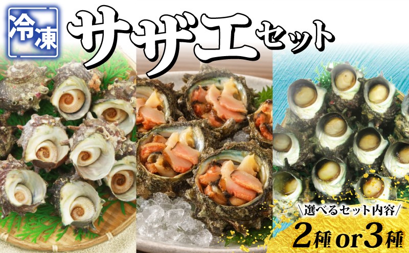 
                  【選べるセット内容】 冷凍 さざえセット 冷凍スチームさざえ お造りさざえ つぼ焼きさざえ和風だし 各5～7個 スチーム加工 時短 殻付き さざえ 食べ比べ 海鮮 貝 壺焼き お造り さざえご飯 下処理済み 下関 山口 《さわ水産：SW》
                
