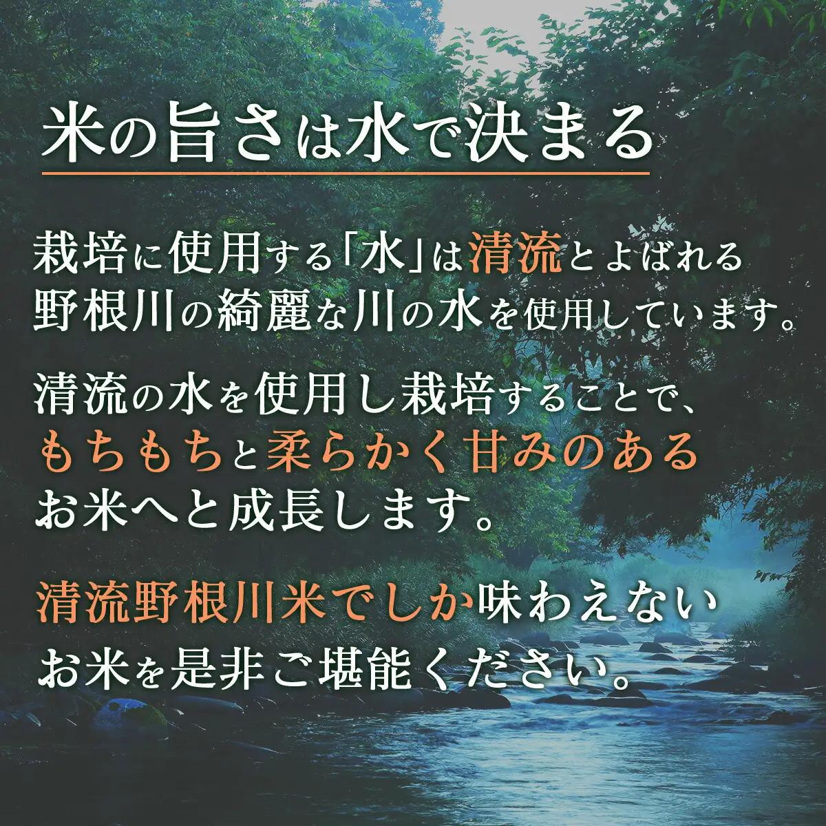 ＜先行予約＞ 清流野根川米（ コシヒカリ ）10kg！ 令和8年度産  東洋町産 国産 白米 精米 米 コメ こめ もっちり 四国 お取り寄せ 家庭用 自宅用 贈答用 贈り物 ギフト 送料無料 U11