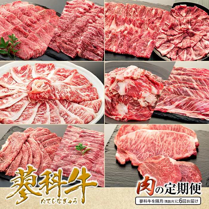 【ふるさと納税】 肉の定期便　蓼科牛を隔月（偶数月）に6回お届け | 国産 肉 牛肉 牛 焼肉 焼き肉 しゃぶしゃぶ すき焼き ステーキ ロース モモ ウデ バラ 切り落とし サーロイン ヒレ 定期便 BBQ バーベキュー お取り寄せ グルメ 蓼科牛 ふるさと 信州 長野県 立科町 蓼科