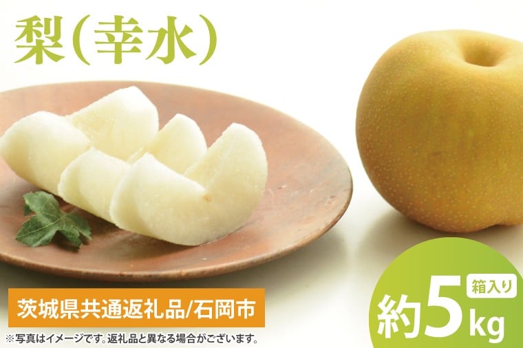 
            【8月中旬より発送】【数量限定】梨（幸水）5kg【茨城県共通返礼品/石岡市】【果物 くだもの フルーツ ナシ なし 幸水 新鮮 旬 お取り寄せ 期間限定 茨城県 水戸市 】（KL-5）
          