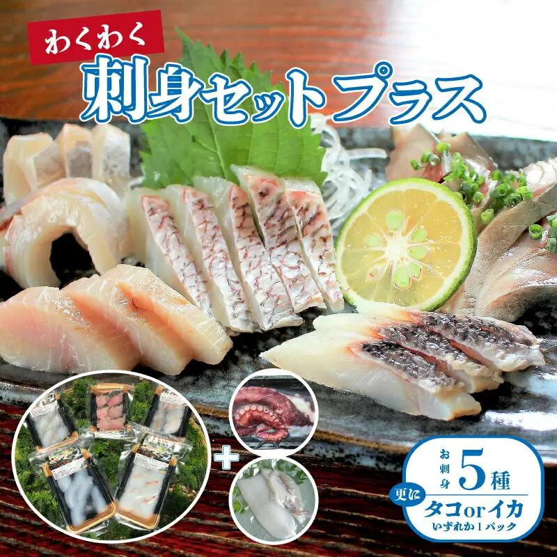 S059-009A_わくわく刺身セットプラス  / 刺身 刺し身 鮮魚 お刺身