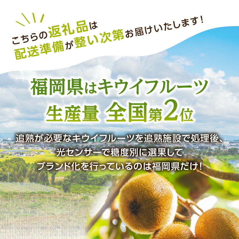 【2025年12月発送開始】【先行予約】博多甘熟娘（うれっこ）キウイ約3.6kg｜ＪＡふくおか八女 キウイフルーツ 福岡 高糖度 先行予約 グリーンキウイ ヘイワード種