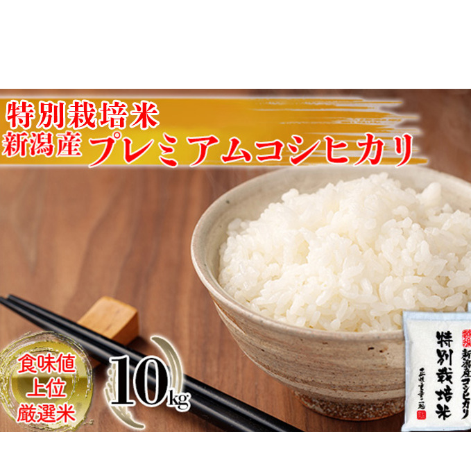 特別栽培米 新潟産コシヒカリ白米 10kg（5kg×2） お米 こしひかり 