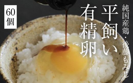 平飼い有精卵 60個《西粟倉村》【株式会社点々】t-SS-ApDA