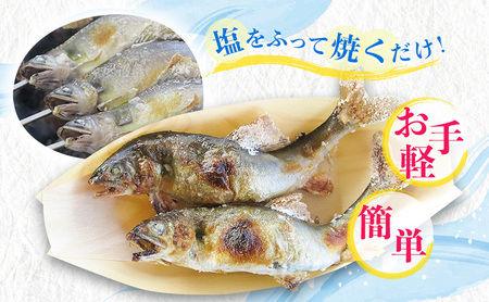【先行予約】塩焼き用 活〆鮎 1kg （10尾～16尾）| 鮎 ※北海道・沖縄・離島への配送不可 ※2026年7月上旬～9月中旬頃に順次発送予定