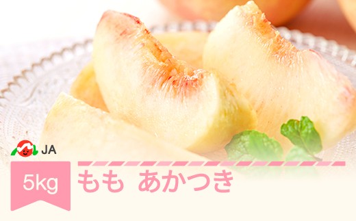 【先行予約】もも 桃 あかつき 約5kg 令和9年産 2027年産 果物 ja-moatx5