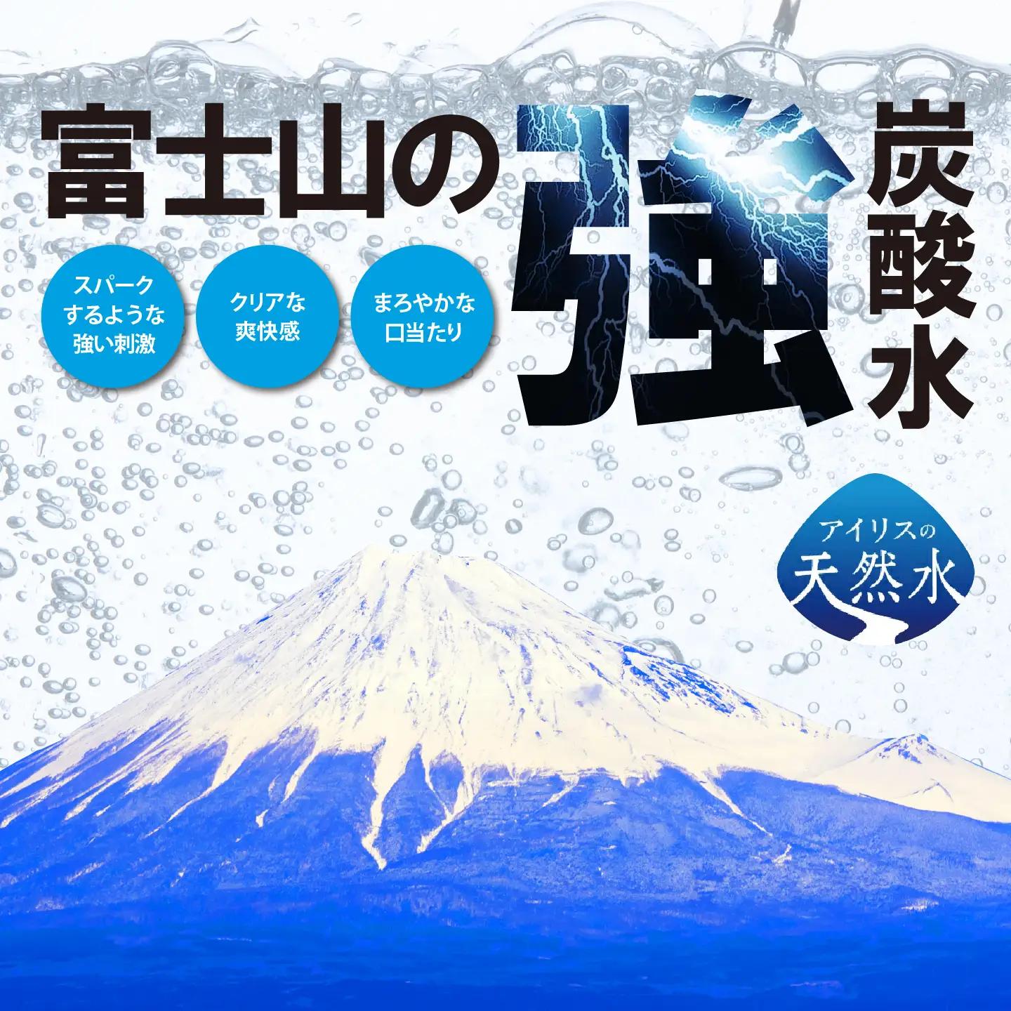 強炭酸水 ラベルレス 12ヶ月定期便 500ml×1箱 24本入 炭酸