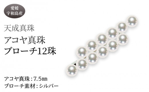 アコヤ真珠 ブローチ 7.5mm 12珠 天成真珠 アクセサリー ファッション akoya 本真珠 真珠 パール  越し物 高級 プレゼント 贈り物 贈答品 贈答用 お祝い 誕生日 成人式 卒業祝 就職祝い 記念日 特産品 国産 愛媛 宇和島 A375-114016