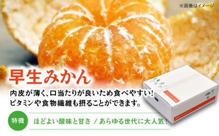 【贈答】早生みかん 5kg [AGAR008] みかんみかんみかんみかんみかん贈答贈答