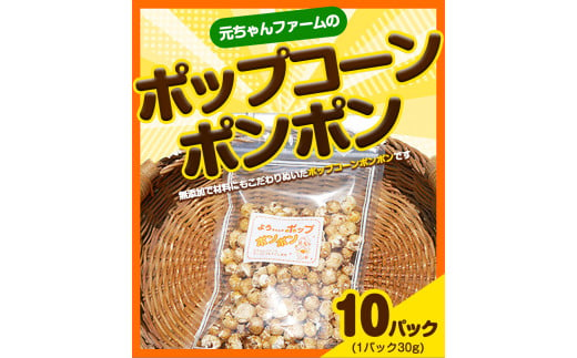 ポップコーンポンポン元ちゃんファーム《30日以内に出荷予定(土日祝除く)》トウモロコシ菓子ポップコーン---wsk_gncpcpp_30d_22_14000_300g---