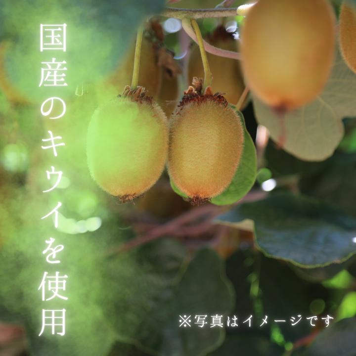 メルカドレグメス　ドライフルーツ　キウイフルーツ ／ ドライフルーツ フルーツ 果物 くだもの キウイフルーツ 自家製