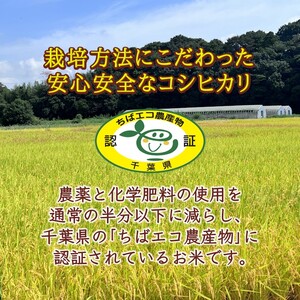 コシヒカリ 10kg  5kg × 2袋 精米したて 千葉県産 減農薬 減化学肥料 白米 千葉県産コシヒカリ こしひかり 新鮮 鮮度 米 ちばエコ農産物