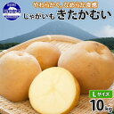 【ふるさと納税】北海道産 じゃがいも きたかむい Lサイズ 10kg 馬鈴薯 キタカムイ ジャガイモ ポテト 芋 いも 旬 イモ 野菜 農作物 産地直送 産直 常温 北海道 お取り寄せ 送料無料 倶知安町　 羊蹄山 健康 肉じゃが 　お届け：2024年11月上旬～12月上旬