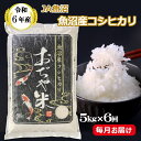 【ふるさと納税】令和6年産（定期便） 魚沼産コシヒカリ定期便 5kg×6回（毎月お届け）（JA魚沼） 白米 精米 JA76P323