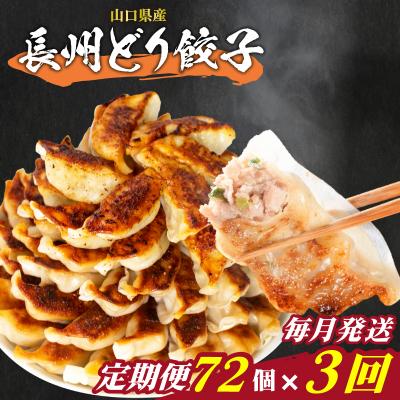 ふるさと納税 下関市 訳あり 長州どり餃子 3回 毎月 定期便 72個 12個×6パック 冷凍 小分け IB047