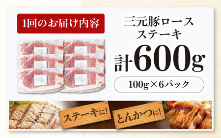 【全2回定期便】平田牧場 ロース ステーキ 600g  (100g×6枚) ※藻塩ナシ 豚肉 とんかつ 生姜焼き[AJAP086]