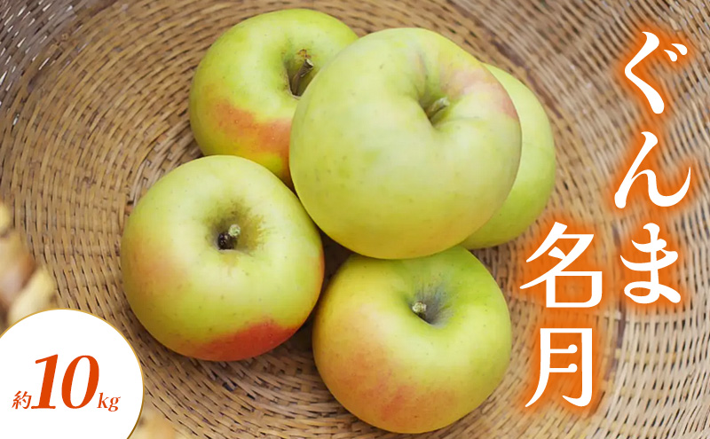 りんご ぐんま名月 約 10kg フルーツ 果物 黄色 秋 旬の果物 旬のフルーツ 長野県産