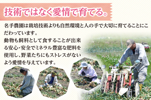 【新たまねぎ】名手農園の淡路島特産玉ねぎ10kg【発送時期