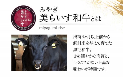 【古今東北】 宮城県産 特選仙台牛 A5ランク 美らいす和牛 焼き肉用セット（モモ・ロース） 480g（ロース 200g / も