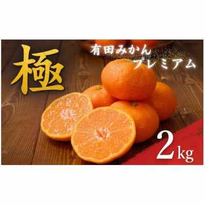 有田みかんプレミアム 極 約2kg 糖度12度以上 2S～L (nuk004-p-2)【1755528】