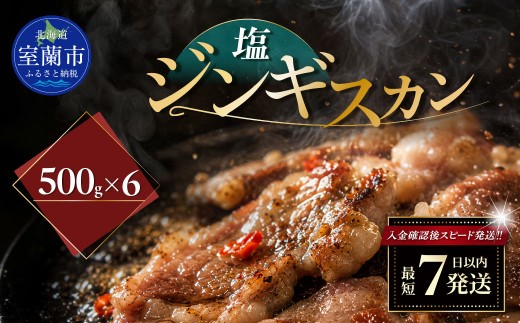 塩ジンギスカン500g×6 【 ふるさと納税 人気 おすすめ ランキング 室蘭 塩ジンギスカン ジンギスカン 塩 ラム 生ラム 羊 肩ロース 肉 焼肉 BBQ 大容量 詰合せ 贈り物 北海道 室蘭市 送料無料 】 MROA221