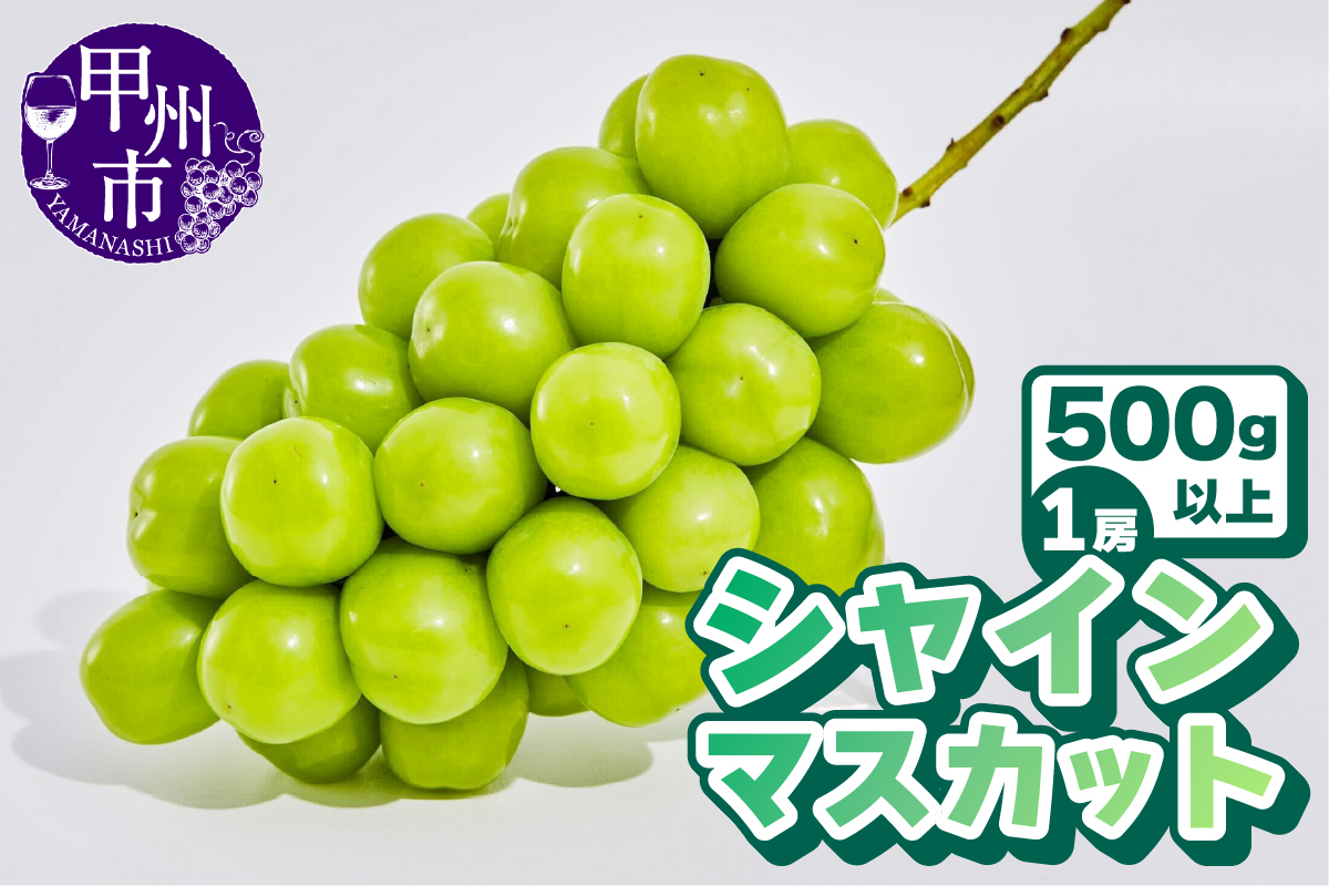 【農林水産大臣賞受賞!!】山梨のシャインマスカット1房500g以上【2025年発送】（AGB）A07-875