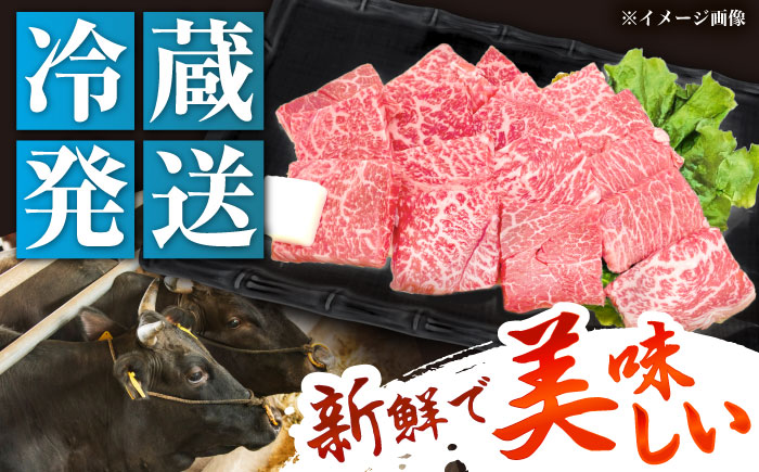 【チルド（冷蔵）発送！】 「飛騨牛」 A5等級 もも 500g / 牛肉 焼肉 鉄板焼き 網焼き BBQ / 恵那市 / 東美濃農業協同組合 [AUFX005]