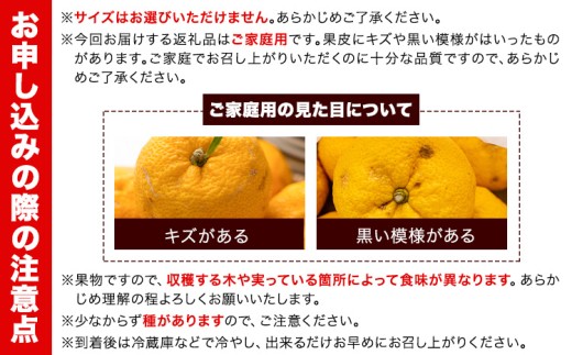 ゆず 国産 ご家庭用 訳あり 紀州 和歌山県産 有田 柚子 約3kg 有田マルシェ《2026年10月末頃-2027年1月下旬頃発送予定》 和歌山県 日高町 ユズ 柑橘 フルーツ ギフト 送料無料