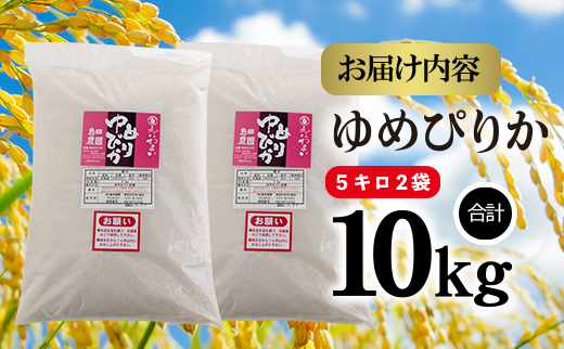 「恵庭産たつやのゆめぴりか」10kg（5kg×2袋）【56000101】