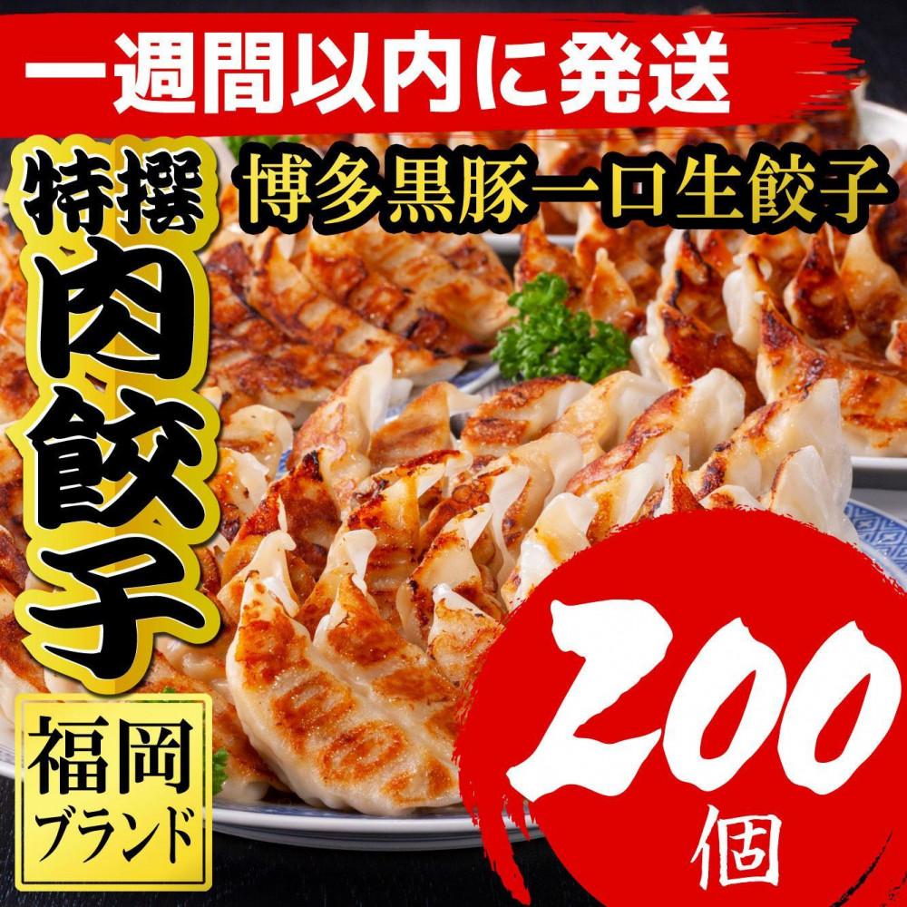 餃子 博多黒豚一口生餃子 200個入 (8パック)【1週間以内に発送！】調理説明付 | 博多一口餃子 福岡市 餃子 ぎょうざ ギョーザ 小分け 惣菜 人気 おすすめ 中華 ラーメン店 冷凍便 楽天ふるさと 納税 返礼品 特産品 名産品 お取り寄せグルメ