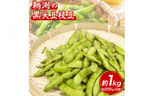 
            【数量限定】和歌山県産鞆渕の黒大豆枝豆 約1kg(200g×5袋入り) 紀の川市厳選館《2025年10月上旬-11月末頃より出荷予定》 和歌山県 紀の川市 豆 枝豆
          
