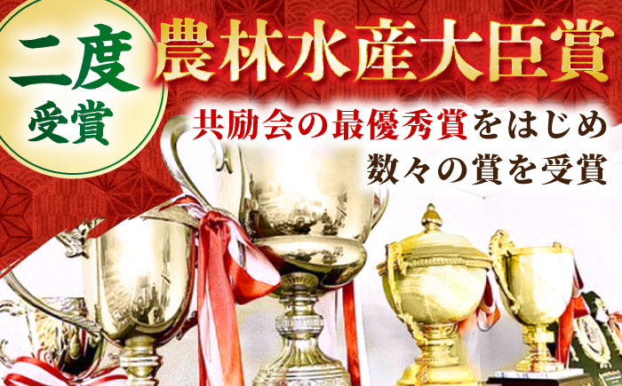 【農林水産大臣賞】佐賀牛「霜降り」スライス盛り合わせ900g（300g×3種）【田中畜産牛肉店】 [HBH040]